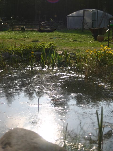 k-teich2.JPG