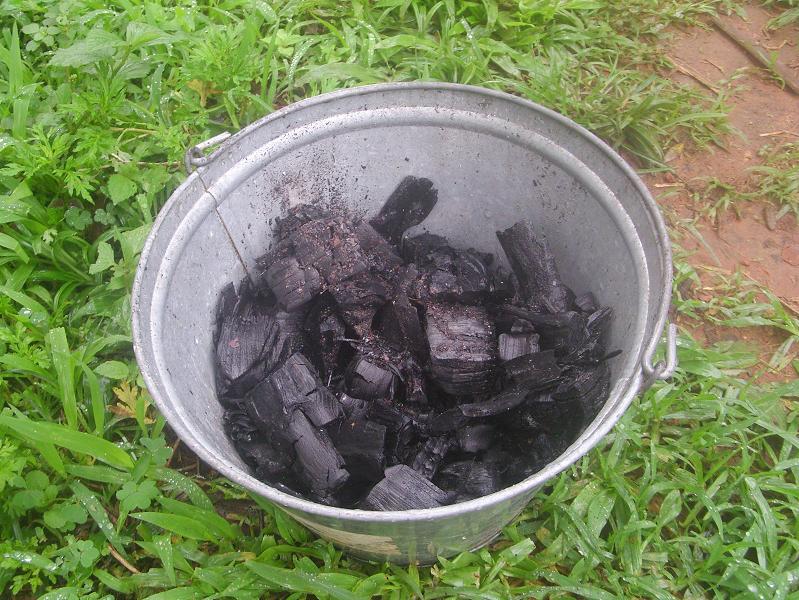 Sampada Holzkohleertrag.JPG