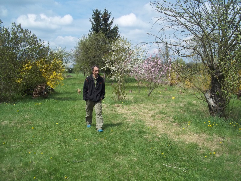 so ne schöne streuobstwiese - wir sind glücklich