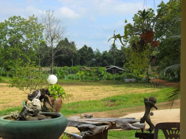 Phu R.1a our vegetable garden   from terrace.jpg