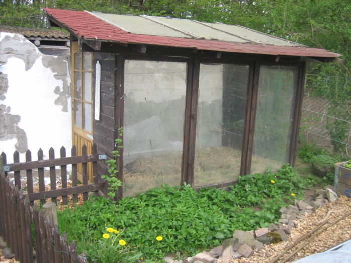 Tomatenhaus mit Wilderdbeeren