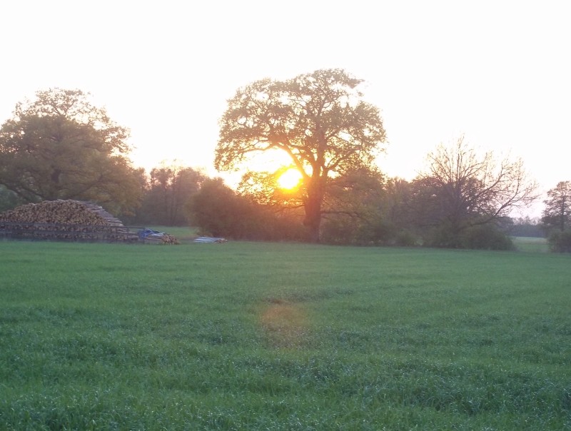 sonnenuntergang - einer von vielen...
