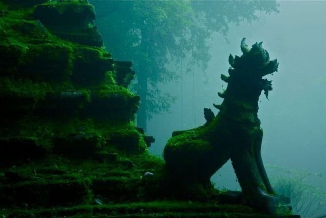 Moss Covered Dragon-WatPallat.jpg