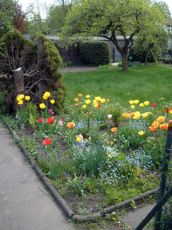 blumen.jpg