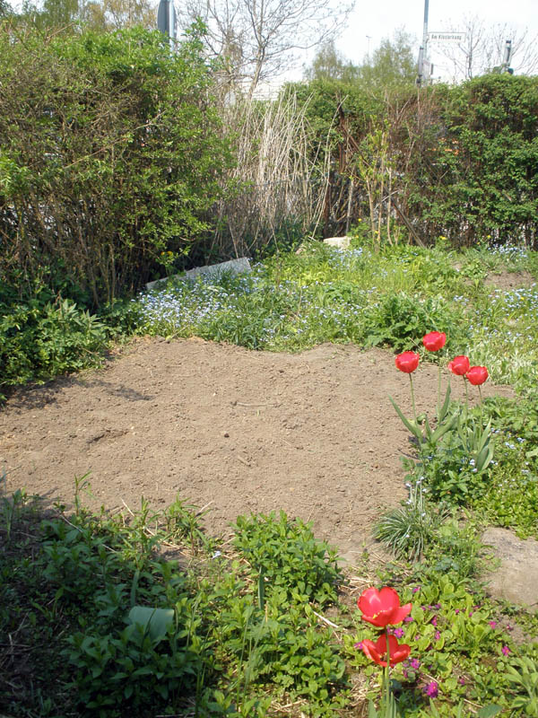kartoffeln-2.jpg