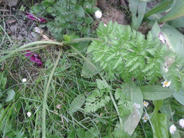 20130517_073351.jpg