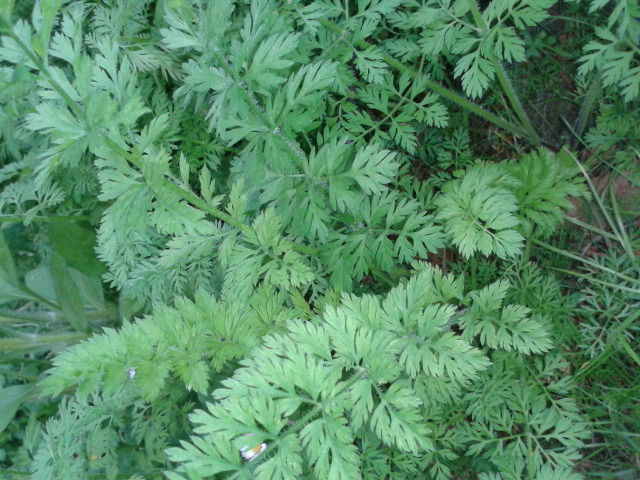 20130517_073644.jpg