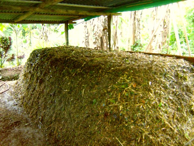 11large pile.jpg