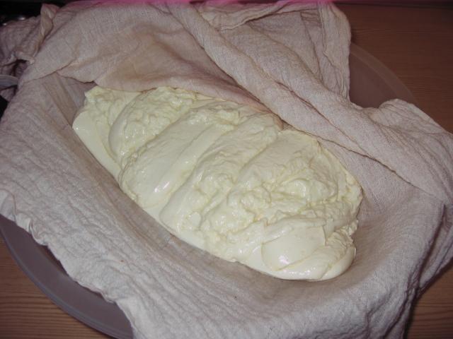 Cheddar 2.JPG