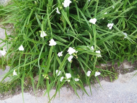 2013-05-27 18.53.54.jpg