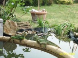 home_084.jpg