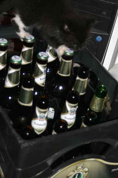 k-IMG_8348.jpg