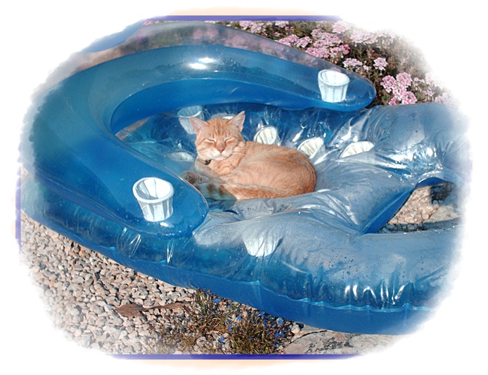 meine wellnessoase.JPG