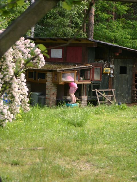 k-elli2.jpg