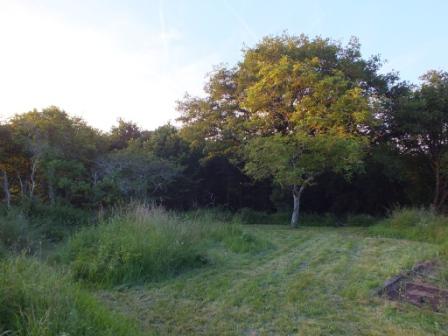 jardin 002.JPG
