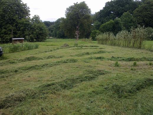 gras.JPG