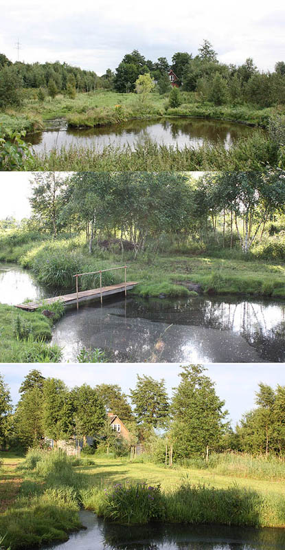 Der Teich ist ein Himmelteich. Loch mit Bagger gebuddelt - abgewartet - fertig.