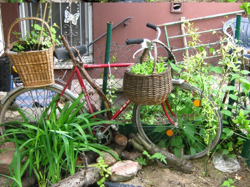 Blumen- / Kräuterfahrrad