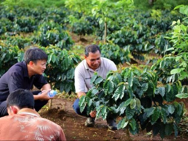 6laocoffee...jpg
