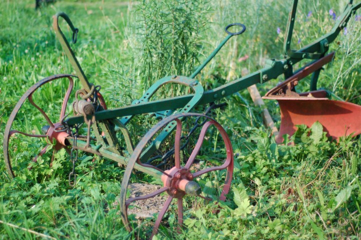 DSC_9821 (Small).JPG