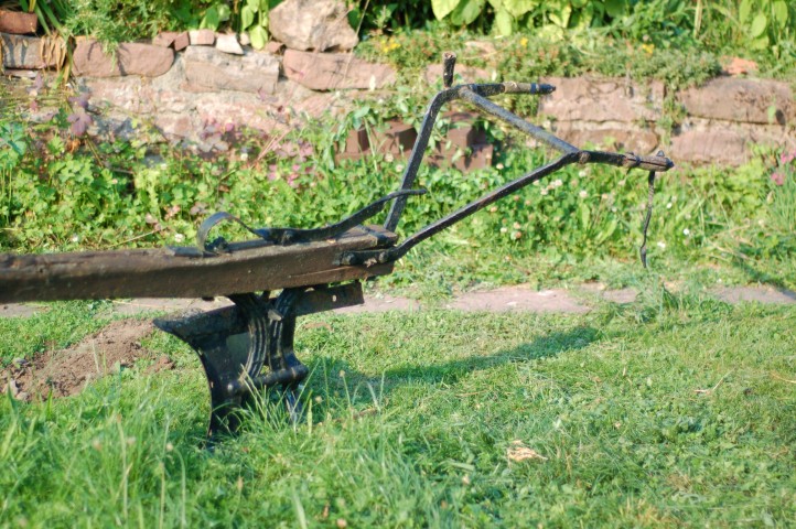 DSC_9825 (Small).JPG