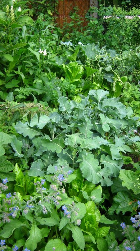 K640_IMG_2525.JPG