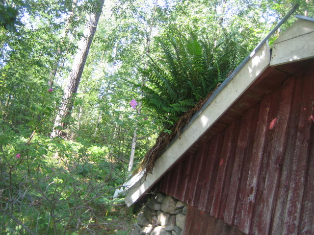 schulabschluss juni-juli 036.JPG