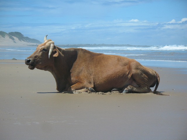 beachday2.JPG