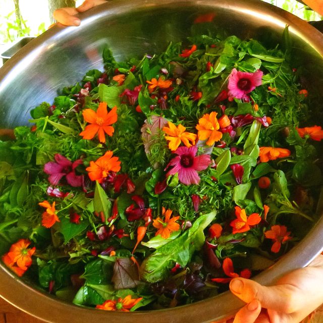flower-salad...jpg