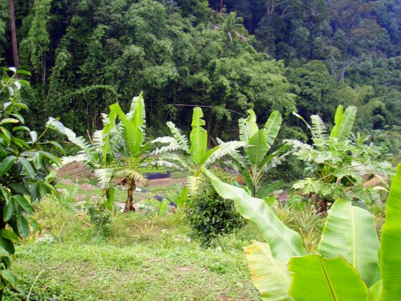 2 slopes phu.jpg