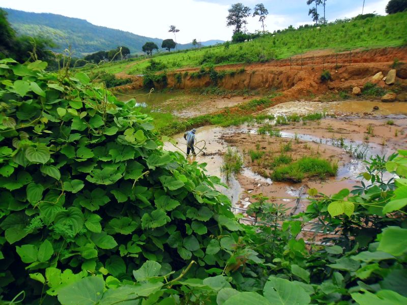 5 three new ponds a 30x20x3.jpg