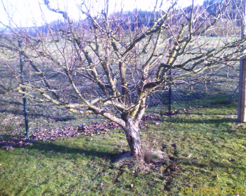 IMAGE_00073.jpg