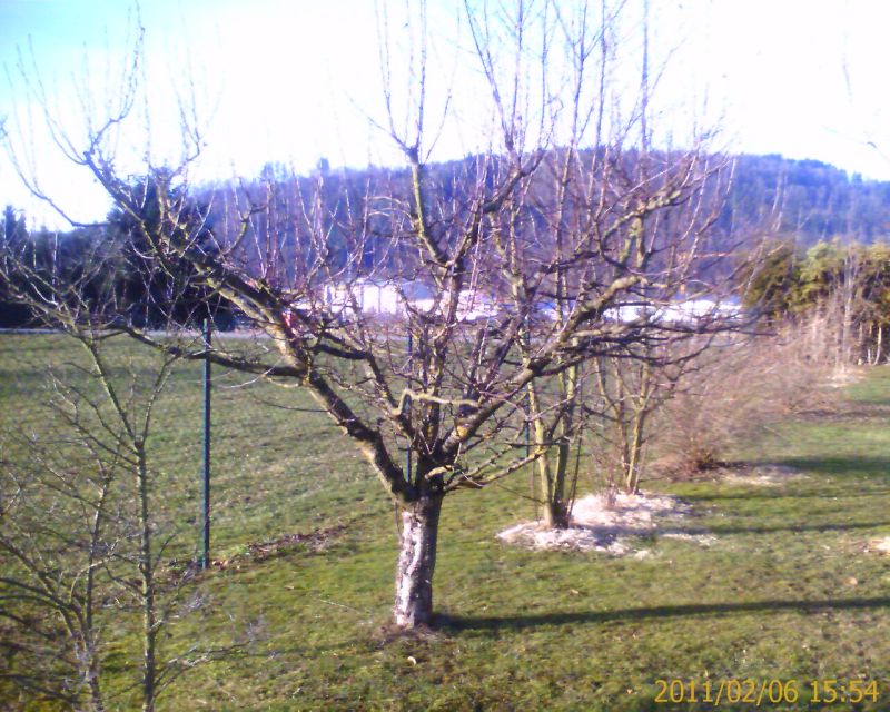 IMAGE_00074.jpg