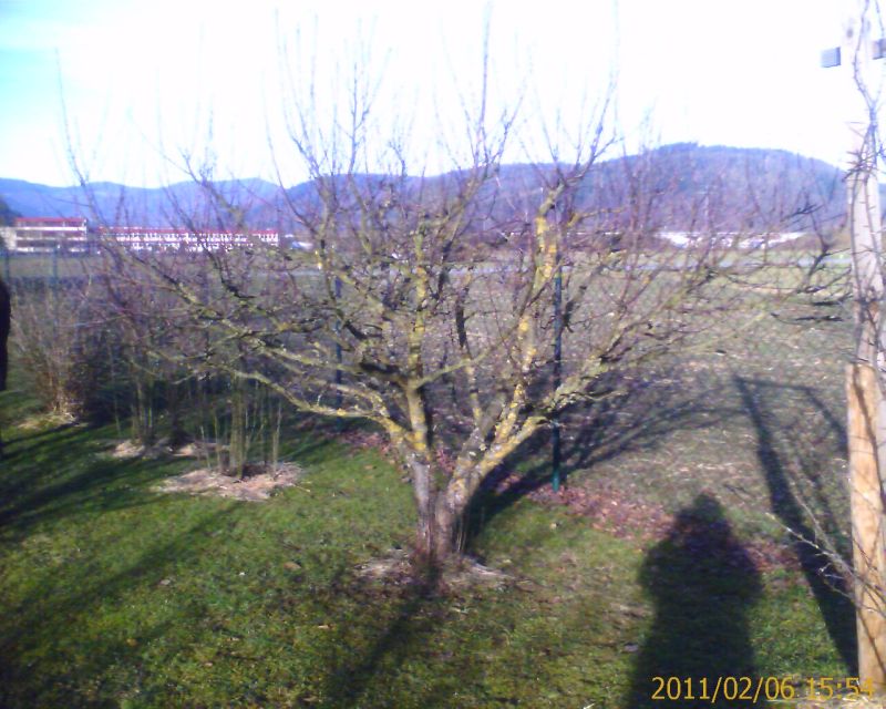 IMAGE_00075.jpg
