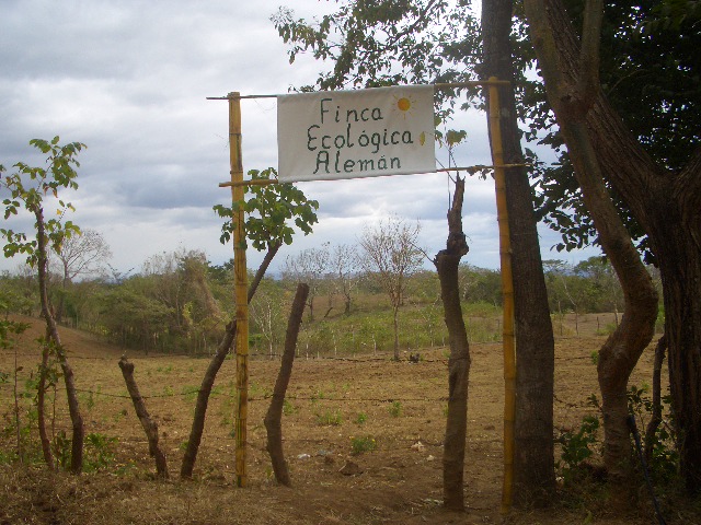 CIMG1091.JPG