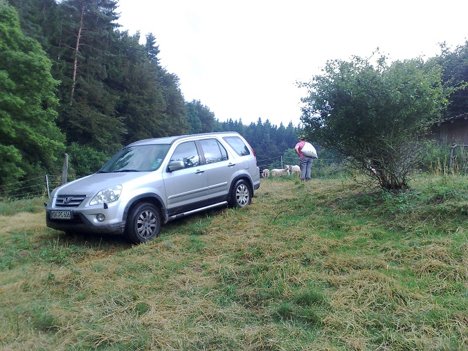 crv