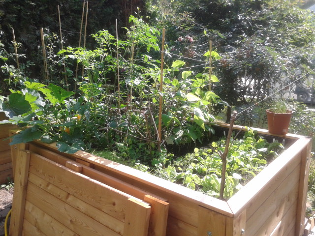 20130726_095550.jpg