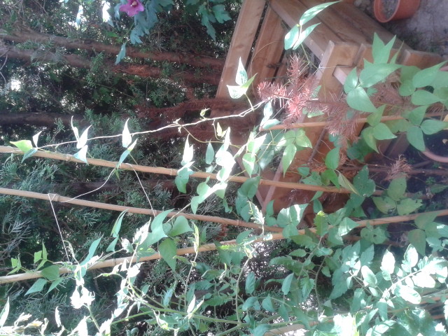 20130726_095500.jpg