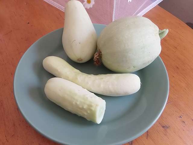 k-aus dem weissen garten.JPG