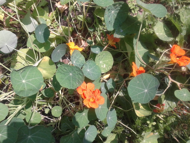 20130726_095351.jpg