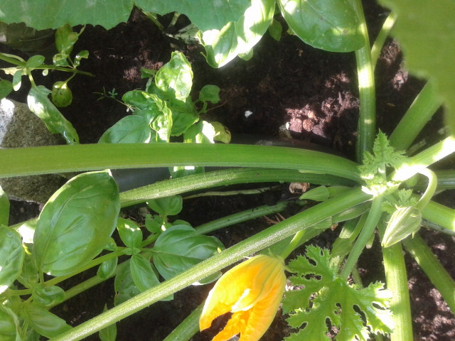 20130726_095450.jpg