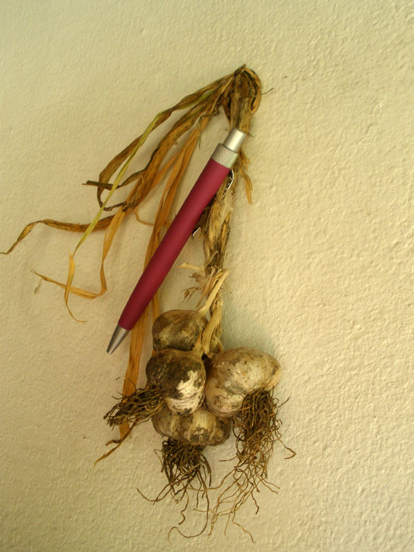 knoblauch.jpg