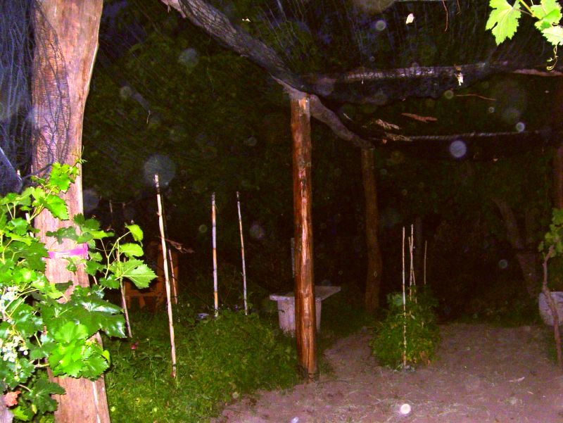 Um 4 Uhr in der Fruehe geht's vom Garten bergab...