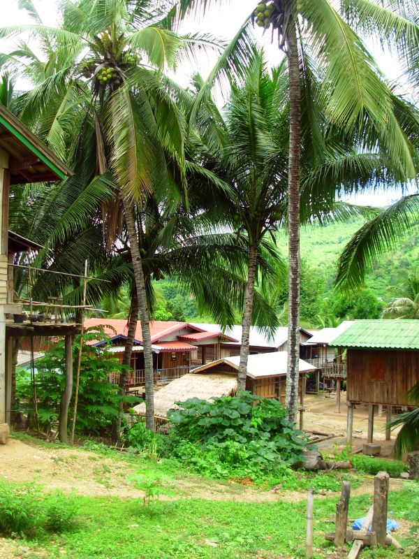 ..schlaengelt sich an kleinen und groesseren Gehoeften vorbei...