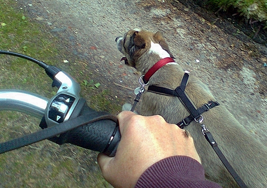 Bild1439.jpg