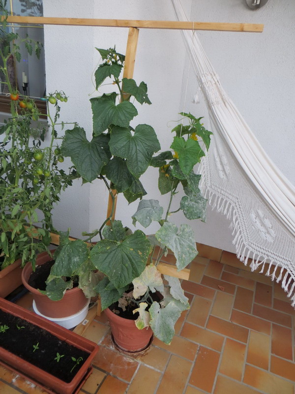 IMG_1864.jpg
