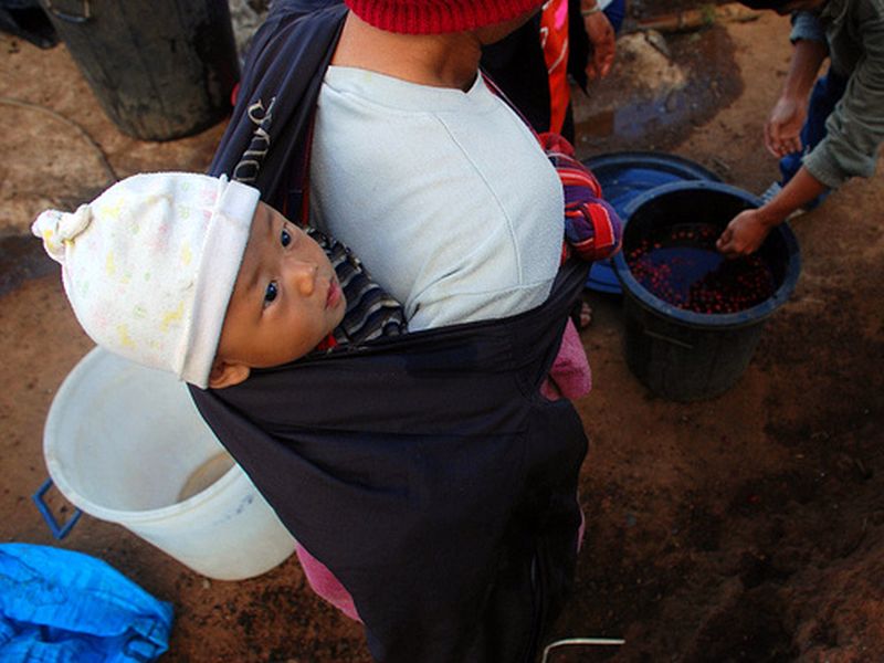 f7 the youngster.jpg