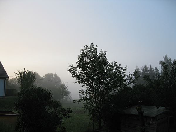img_1196kl.jpg