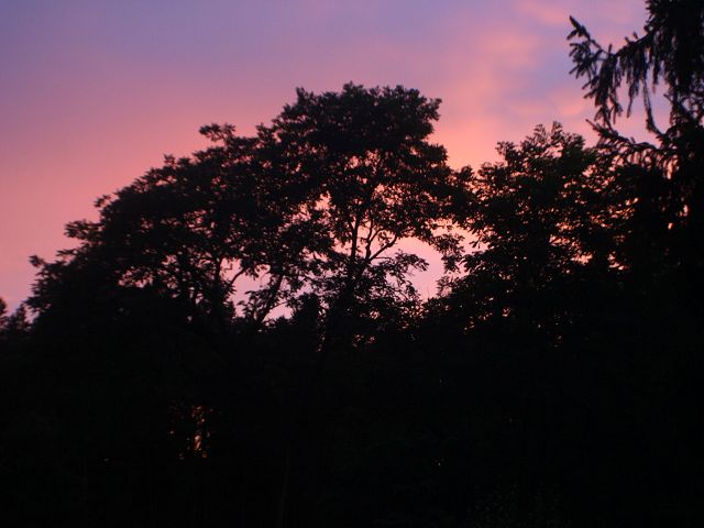 k-wald2.jpg