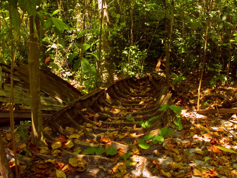 newplot-boat-grave.jpg